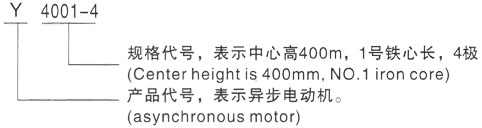 西安泰富西玛Y系列(H355-1000)高压YJTFKK500-8三相异步电机型号说明